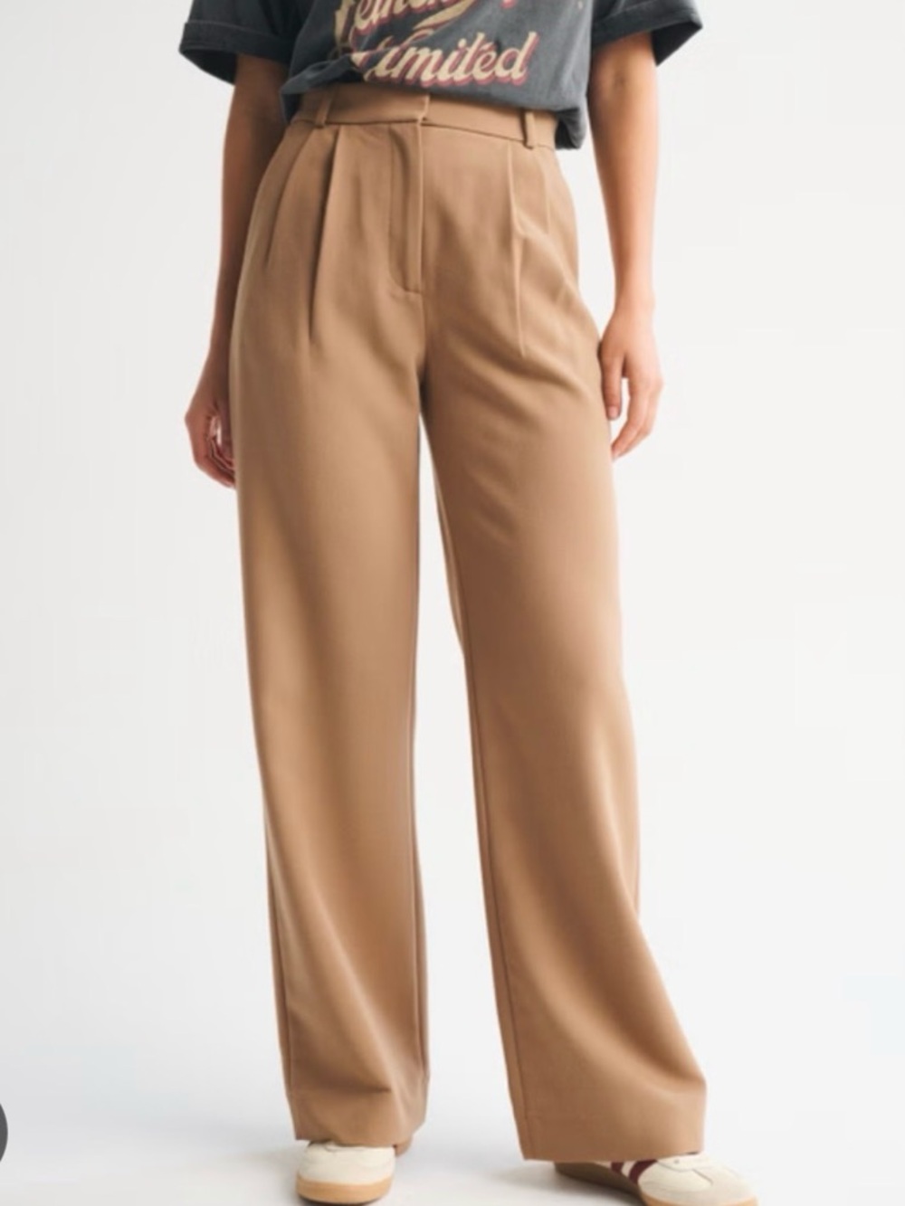 Abercrombie & Fitch High-Waist Pants in Camel Tan